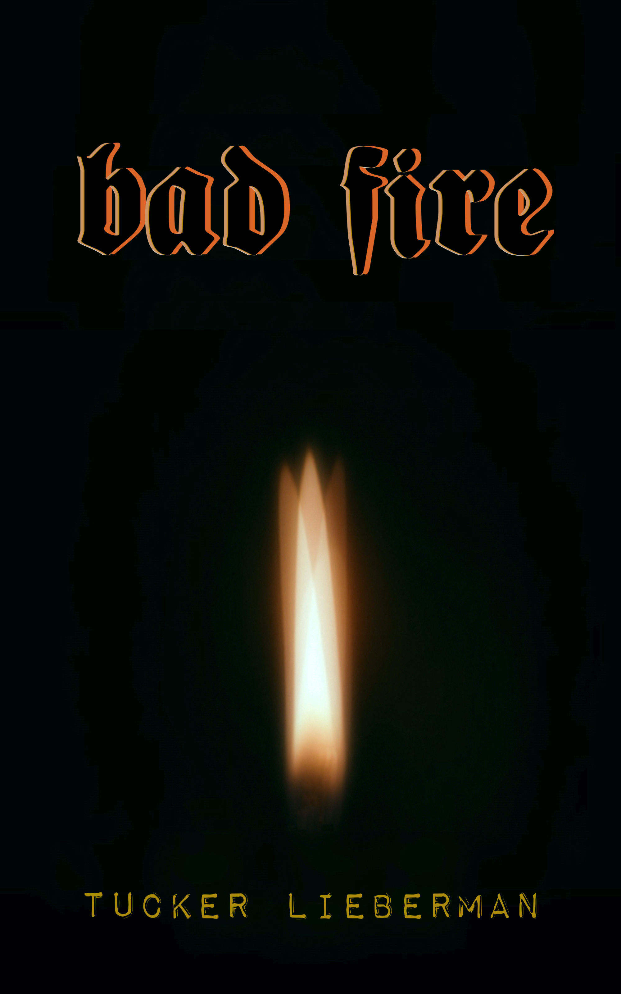 Cover image of Bad Fire by Tucker Lieberman